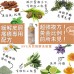 去頭屑/止頭痕/去油 有機天然「蜂膠」頭皮潔淨精華液 - 100ml試用裝